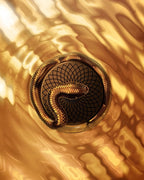 Lattafa Teriaq Intense – Eau de Parfum – 100ml